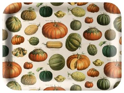 Tacka kuchenna ozdobna Dynie. Wydawca: Skona Ting. SmakLiter.pl Opakowanie Tacka kuchenna ozdobna Dynie