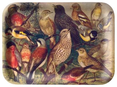 Tacka kuchenna ozdobna Ptaki. Wydawca: Skona Ting. SmakLiter.pl Opakowanie Tacka kuchenna ozdobna Ptaki