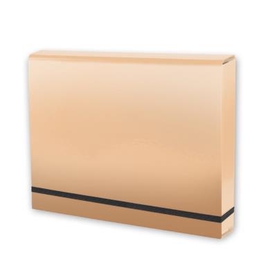 Opakowanie Teczka A4 lux na gumkę beżowa PENMATE