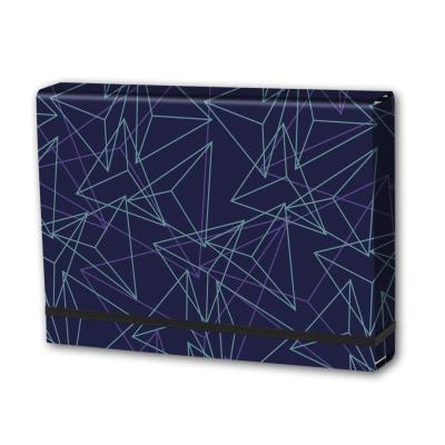 Opakowanie Teczka A4 lux na gumkę T0107 PENMATE