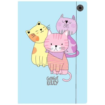 Opakowanie Teczka A4 z gumką Genius Kitty (10szt)