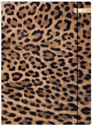 Opakowanie Teczka A4+ z gumką Safari Leopard HAPPY COLOR