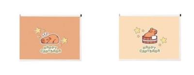 Opakowanie Teczka A5 na suwak MIX