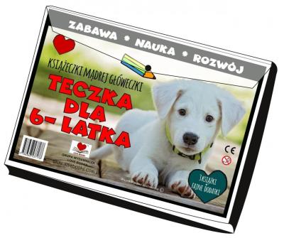 Okładka książki Teczka dla 6 latka. Książeczki mądrej główeczki