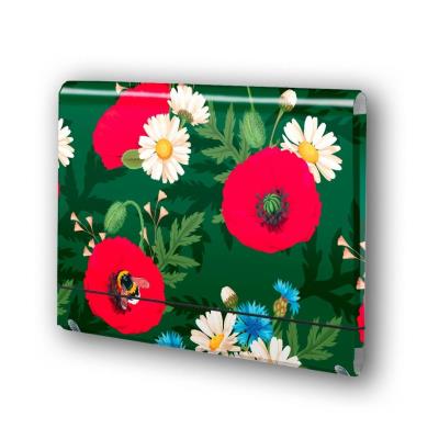 Opakowanie Teczka łamana A4 na gumkę Kwiaty polskie PENMATE