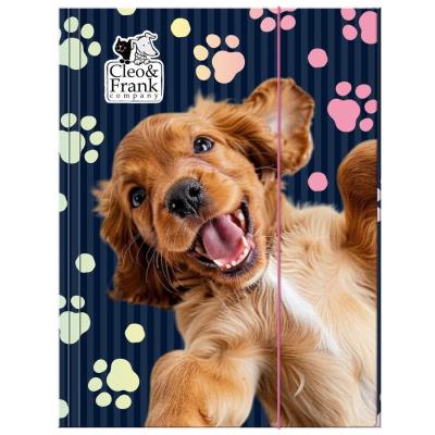 Opakowanie Teczka z gumką A4 Cleo i Frank 44 (pies) DERFORM
