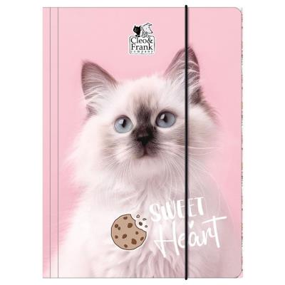 Opakowanie Teczka z gumką A4 Cleo i Frank 45 (kot) DERFORM