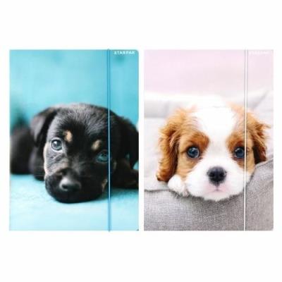 Opakowanie Teczka z gumką A4 Pieski mix