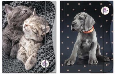 Opakowanie Teczka z gumką A4 The Sweet Pets