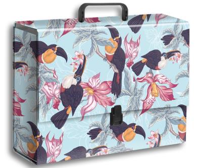 Opakowanie TECZKA Z RĄCZKĄ B4 JUMBO T 0123 TUKAN FOLIA MAT NIERYSUJĄCA