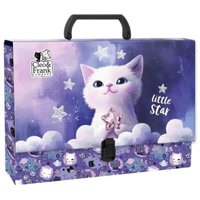 Opakowanie Teczka z rączką gruba Cleo i Frank 47 DERFORM