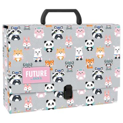 Opakowanie Teczka z rączką gruba DF 27