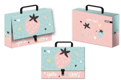 Opakowanie Teczka z rączką walizeczka dziewczynka