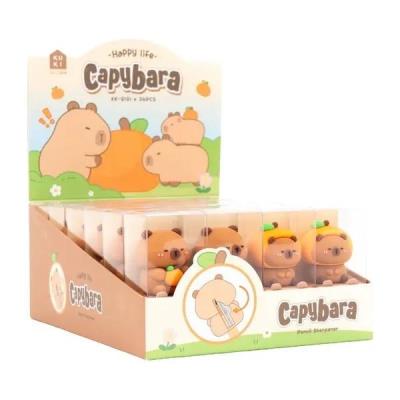Opakowanie Temperówka Kapibara (24szt)