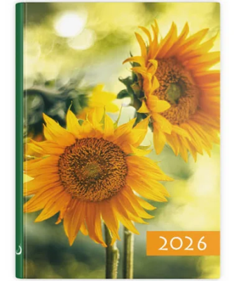 Opakowanie Terminarz 2026 B7 słoneczniki