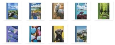 Opakowanie Terminarz 2026 dzienny A5 Prismalux MIX