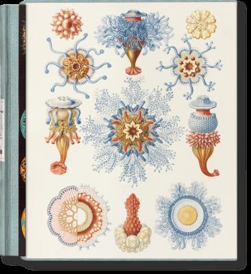 Okładka książki The Art and Science of Ernst Haeckel