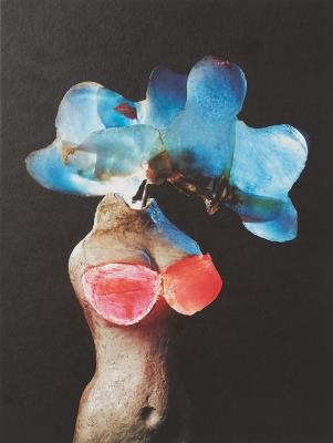 Okładka książki To Exalt the Ephemeral. Alina Szapocznikow 1962–1972