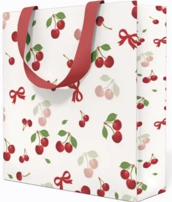 Opakowanie Torebka prezentowa 15x15x8cm