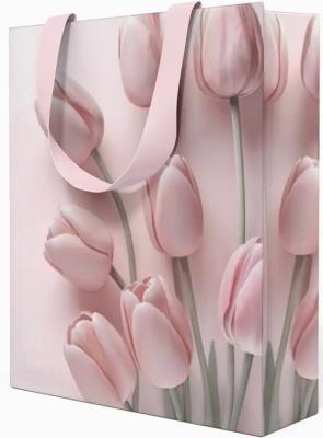 Opakowanie Torebka prezentowa 23x18x10cm