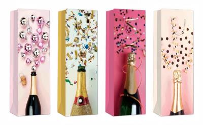 Opakowanie Torebka prezentowa B