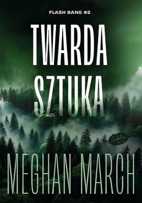 Okładka książki Twarda sztuka. Flash Bang. Tom 2