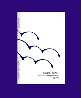 Okładka książki Upadki z niskiej wysokości