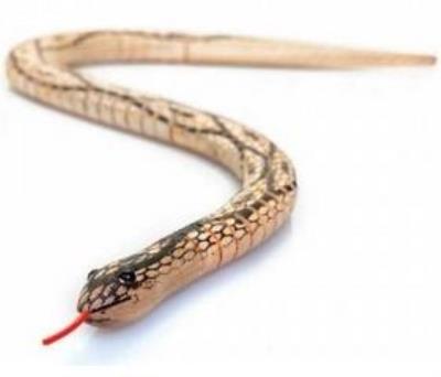 Opakowanie Wąż dewniany MIX