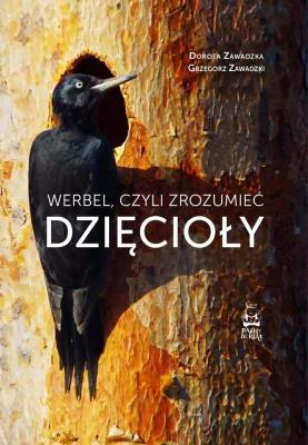 Okładka książki Werbel, czyli zrozumieć dzięcioły