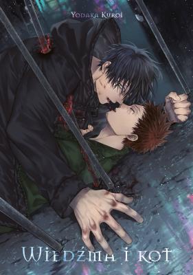 Okładka książki Wiedźma i kot