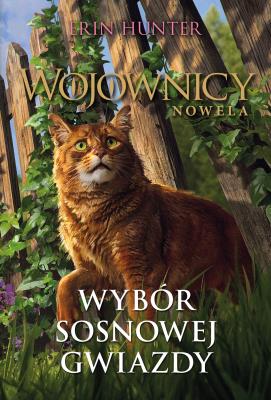Wojownicy Nowela Tom 11 Wybór Sosnowej Gwiazdy. Autor: Erin Hunter. SmakLiter.pl Okładka książki Wojownicy Nowela Tom 11 Wybór Sosnowej Gwiazdy