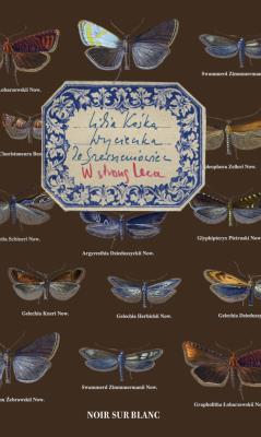 Okładka książki Wycieczka do Szerszeniowiec. W stronę Leca