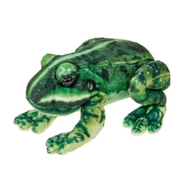 Opakowanie Żaba ropucha 13cm