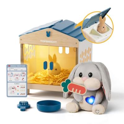 Opakowanie Zabawka interaktywna Mummy Bunny 36m+