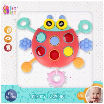 Opakowanie Zabawka sensoryczna Biedroneczka BamBam
