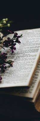 Opakowanie Zakładka do książki Biblia