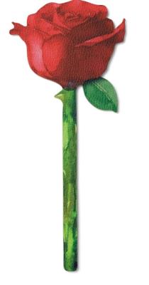 Opakowanie Zakładka do książki kwiaty - Malowana róża