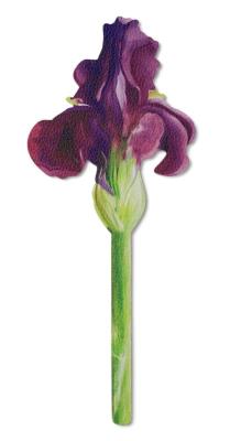 Opakowanie Zakładka do książki kwity - Malowany irys