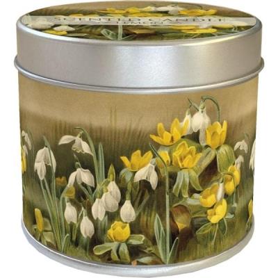 Zapachowa świeczka Przebiśniegi - zapach cytrynowy. Wydawca: Skona Ting. SmakLiter.pl Opakowanie Zapachowa świeczka Przebiśniegi - zapach cytrynowy