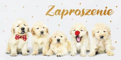 Opakowanie Zaproszenie Dziecięce Z139 (5szt)