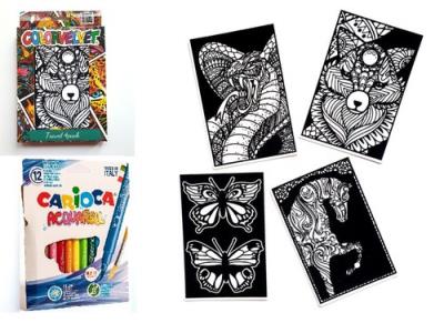 Opakowanie Zestaw 4 Kolorowanek Welwetowych + 12 Flamastrów Carioca - Różne Zwierzęta