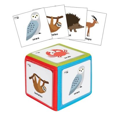 Opakowanie Zestaw kostka edukacyjna z kieszeniami + 78 kart