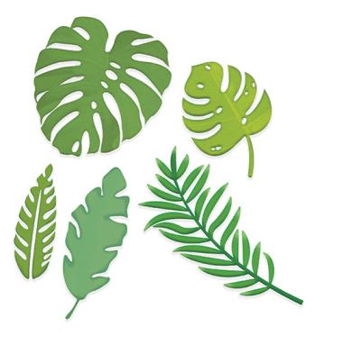 Opakowanie Zestaw wykrojników liście egzotyczne 5szt