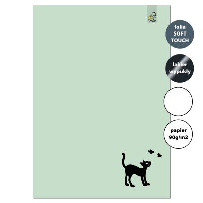 Opakowanie Zeszyt A4 32 kartki gładki 90g Kot miętowy