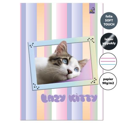 Opakowanie Zeszyt A4 32 kartki w 3 linie kolor 90g Kot leniwy