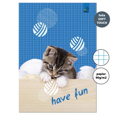 Zeszyt A4 32 kartki w kratkę 90g Kot i piłki. Wydawca: EV-Corp. SmakLiter.pl Opakowanie Zeszyt A4 32 kartki w kratkę 90g Kot i piłki