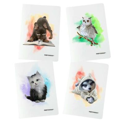 Opakowanie Zeszyt A4/32K linia kolor PP Joy (4szt) NARCISSUS