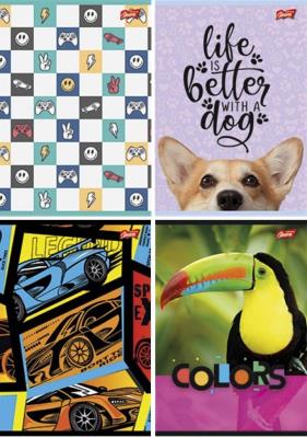 Zeszyt A4/32K linia podwójna dwukolor mix (15szt). Wydawca: UNIPAP. SmakLiter.pl Opakowanie Zeszyt A4/32K linia podwójna dwukolor mix (15szt)