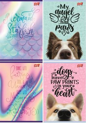 Zeszyt A4/32K linia podwójna dwukolor mix (15szt). Wydawca: UNIPAP. SmakLiter.pl Opakowanie Zeszyt A4/32K linia podwójna dwukolor mix (15szt)