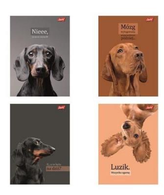 Opakowanie Zeszyt A4/60k kratka Doggy Moods (10szt)